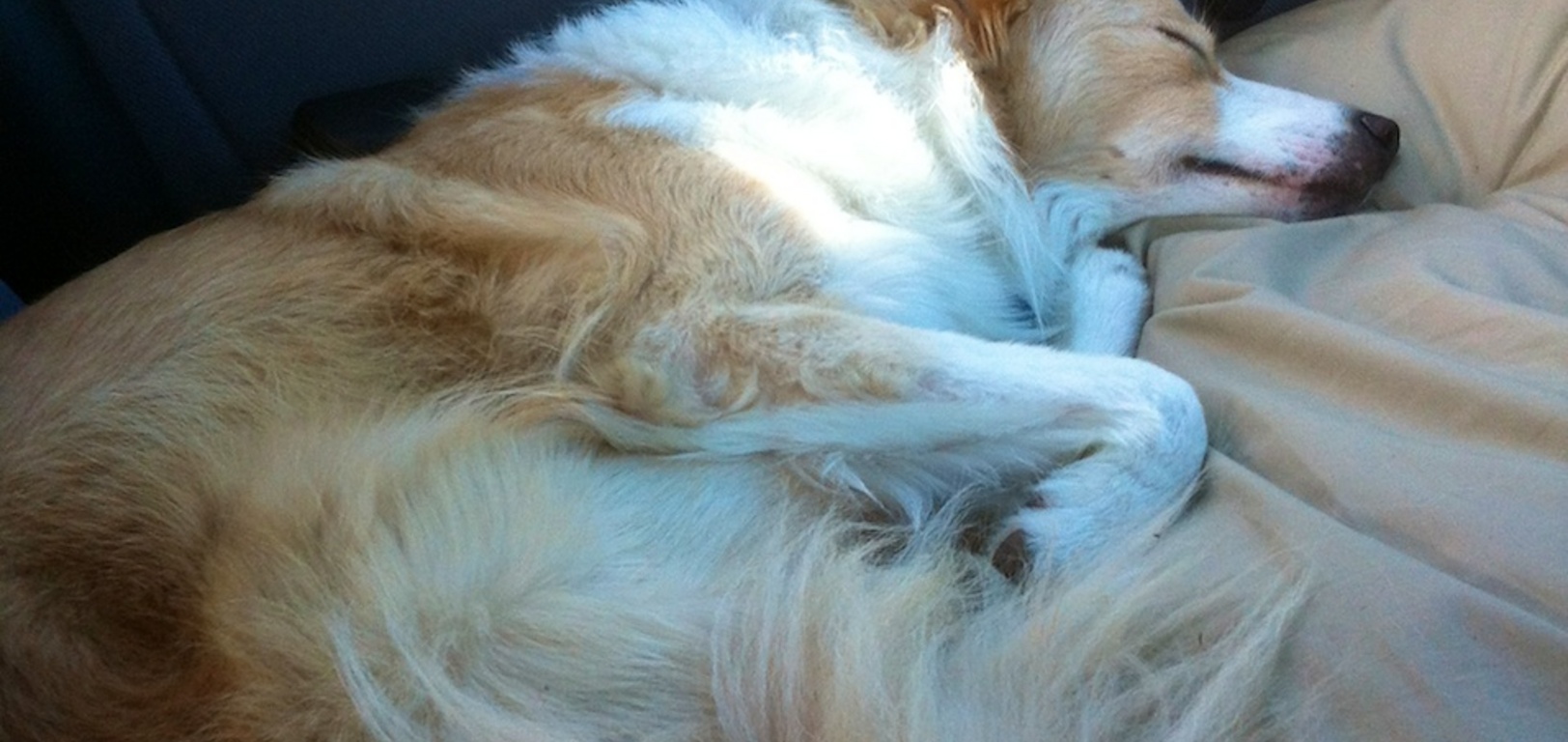 So comfy on the ride home