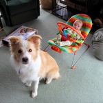 Enjoying the new bouncer