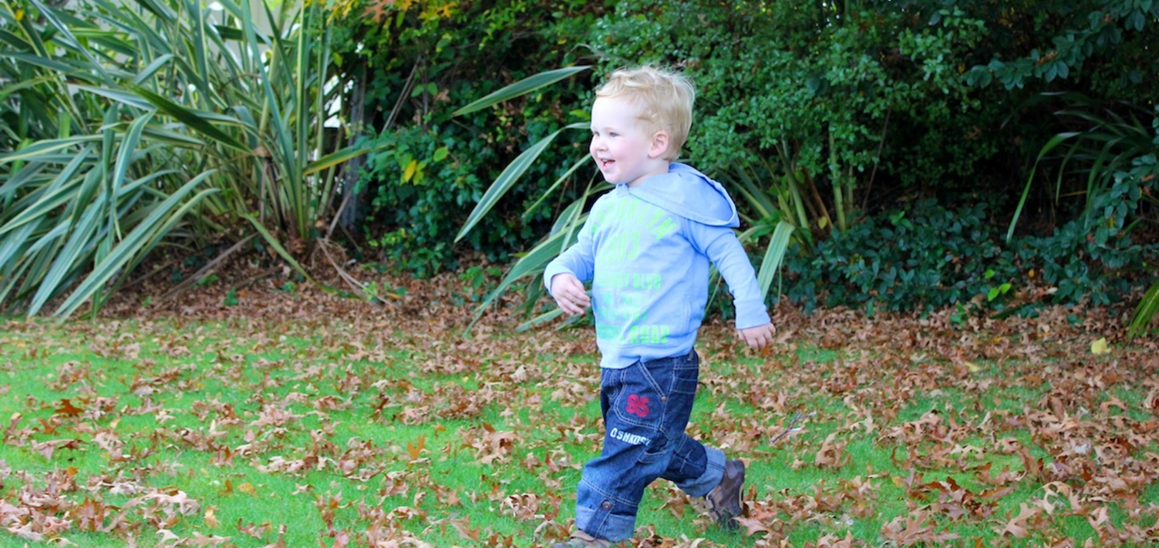 Running in the autumn leaves