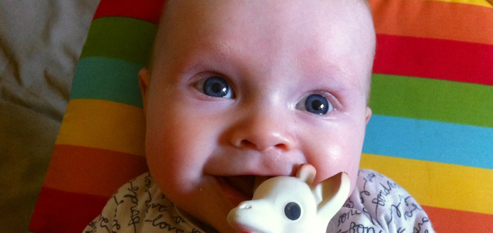 Smiles with Sophie 