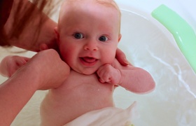 Four Months of Olive