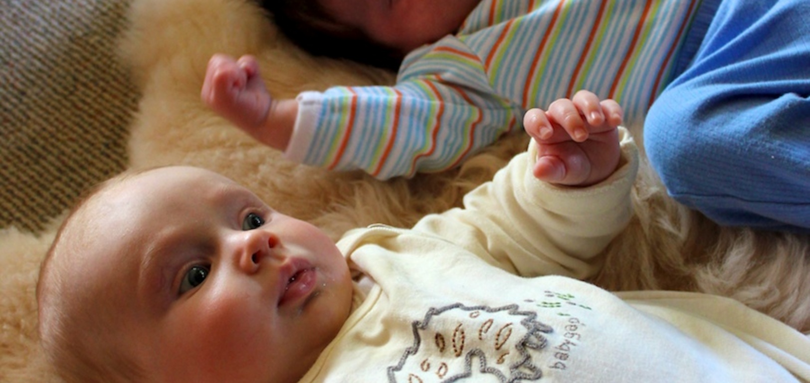When Harry meets olive