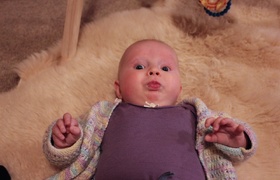 Four Months of Olive