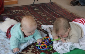 Four Months of Olive