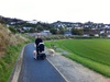 Dog walking at Karori Park