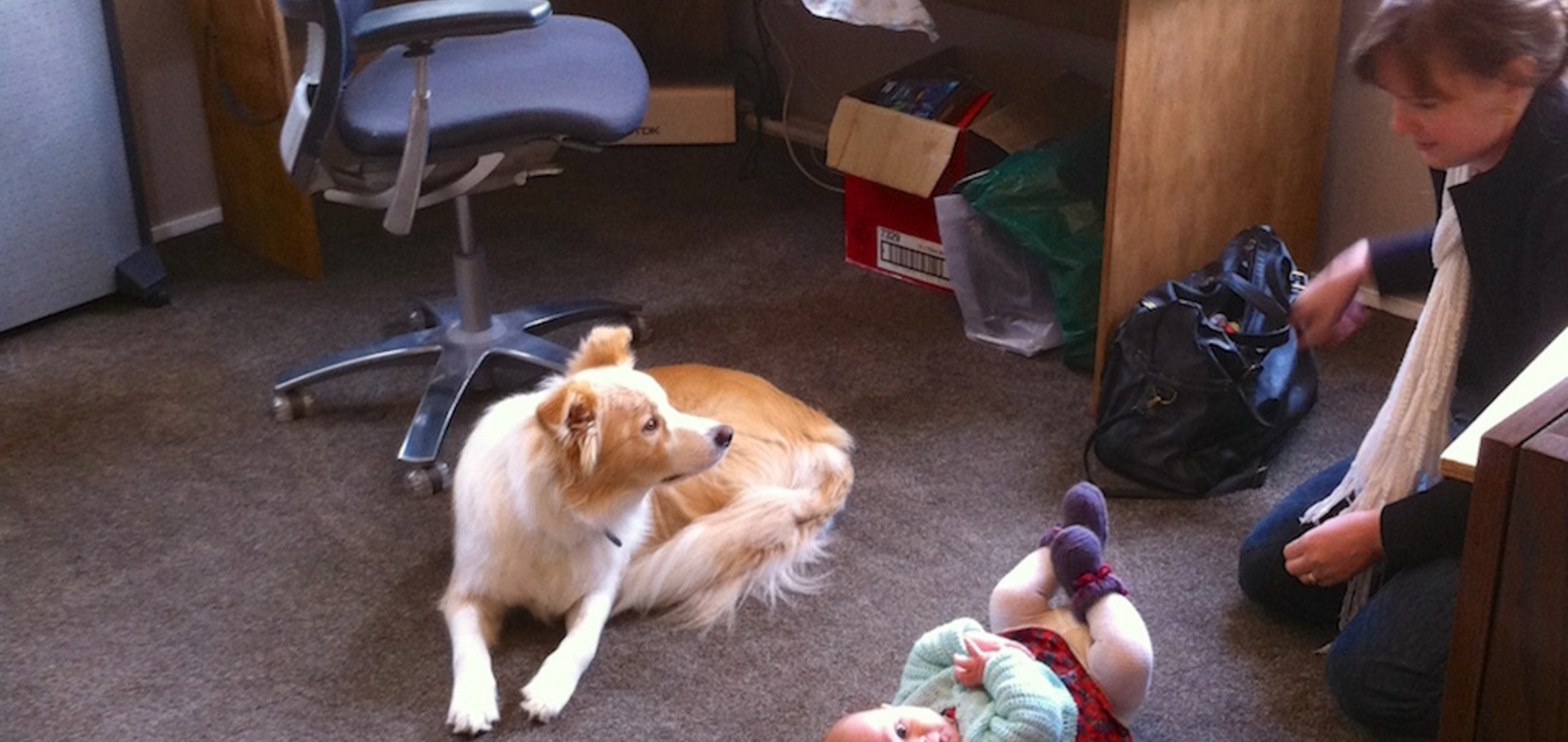 The whole family visits Dad in his new office
