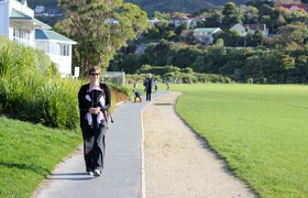 Sunshine and Busyness