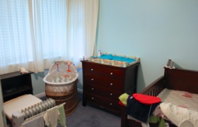 Sunshine and Busyness