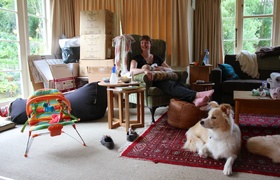 Sunshine and Busyness