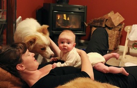 Sunshine and Busyness