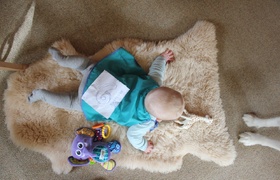 7 Month old Olive gets a new room