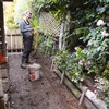 Gini gets to work on the side of the house