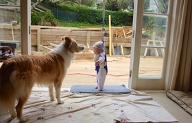 Sunshine Backyard Transformation