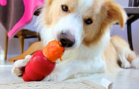 April - Journal Entries