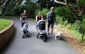 April - Journal Entries