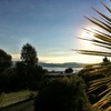 Made it safe and sound to a beautiful Taupo afternoon. Olive slept well between two feed breaks.
