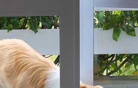 April - Journal Entries