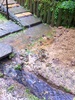 The drain proves it's worth - as it diverts the torrent of water away from under the house. Quite chuffed we are feeling today after a torrential downpour puts it to the test. Here's hoping the office stays dry!