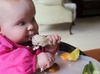 Olive and the Chicken Drum Stick. Olive's first taste of meat seemed to go down a treat.=