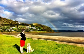 January - Journal Entries