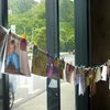Spend a lovely afternoon showering in baby talk, friends and lovely gifts for our baby bean to be!