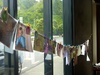 Spend a lovely afternoon showering in baby talk, friends and lovely gifts for our baby bean to be!