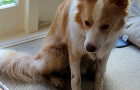 June - Journal Entries