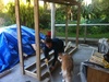 Lyon helps daddy with the framing!