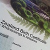It's official! Olive is legally a kiwi born baby!