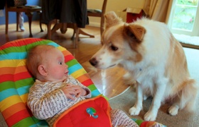 May - Journal Entries