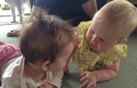 Christmas 2012 Holiday