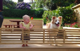 Olive's First Birthday Bash