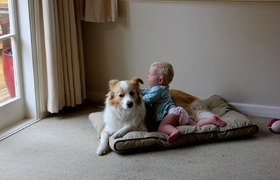Olive's First Birthday Bash