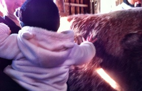 Twelve to eighteen months of Olive