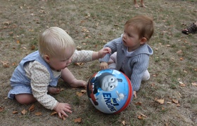 Twelve to eighteen months of Olive