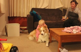 Twelve to eighteen months of Olive