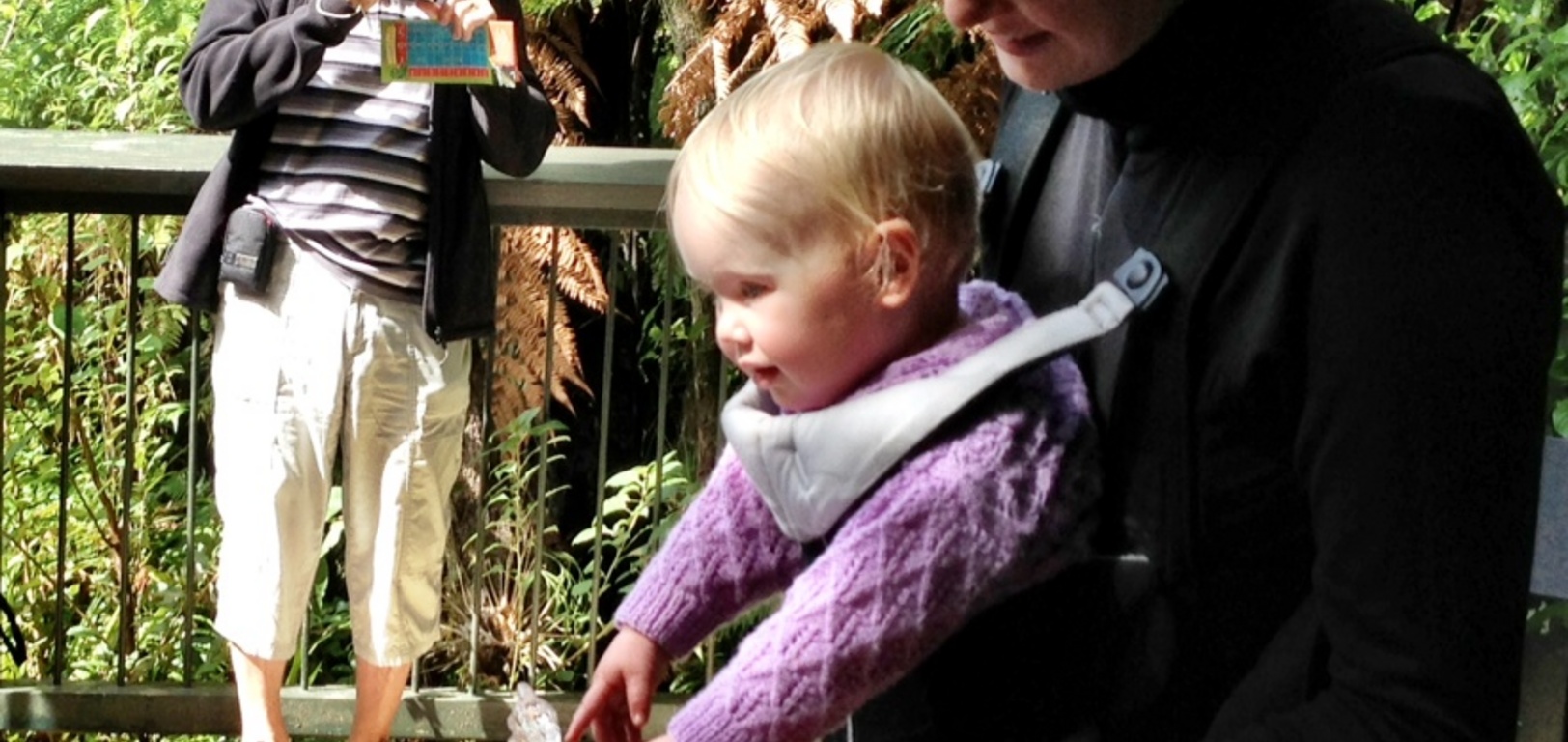 Had a fun day out at rainbow springs. Should have taken more photos, however.