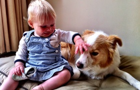 April - Journal Entries