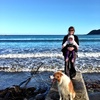 Took Lyon on an afternoon stroll at Lyall Bay for the first time. Lovely dog beach full of an assortment of breeds. Must go again.