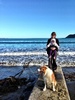 Took Lyon on an afternoon stroll at Lyall Bay for the first time. Lovely dog beach full of an assortment of breeds. Must go again.