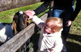 August - Journal Entries