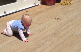 February - Journal Entries