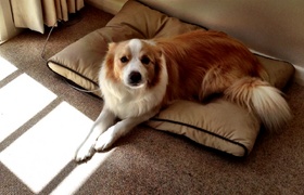 February - Journal Entries