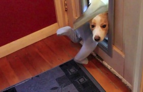 July - Journal Entries