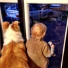 Waiting for Grandad to return with dinner.