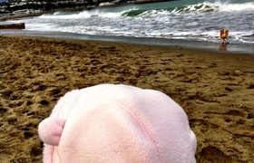 June - Journal Entries