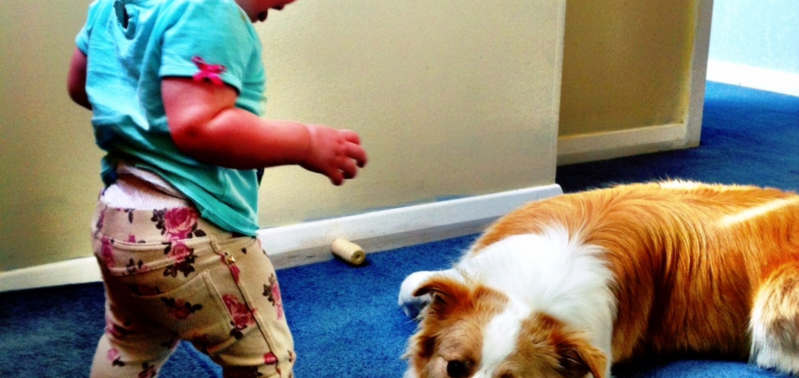 Just a normal day in the Peck household... I think olive has a thing for shoes..