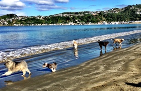 May - Journal Entries