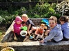 Some fun in the sun for Liam first birthday. Olive loved the baby chicks and the goose! The icing was a hot too.