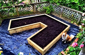 November - Journal Entries